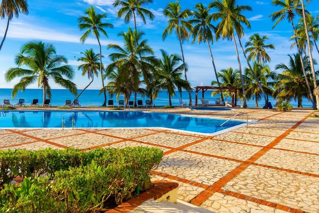 Lejlighedshotel Oceanparadise To You Albatro L Y Ll Juan Dolio