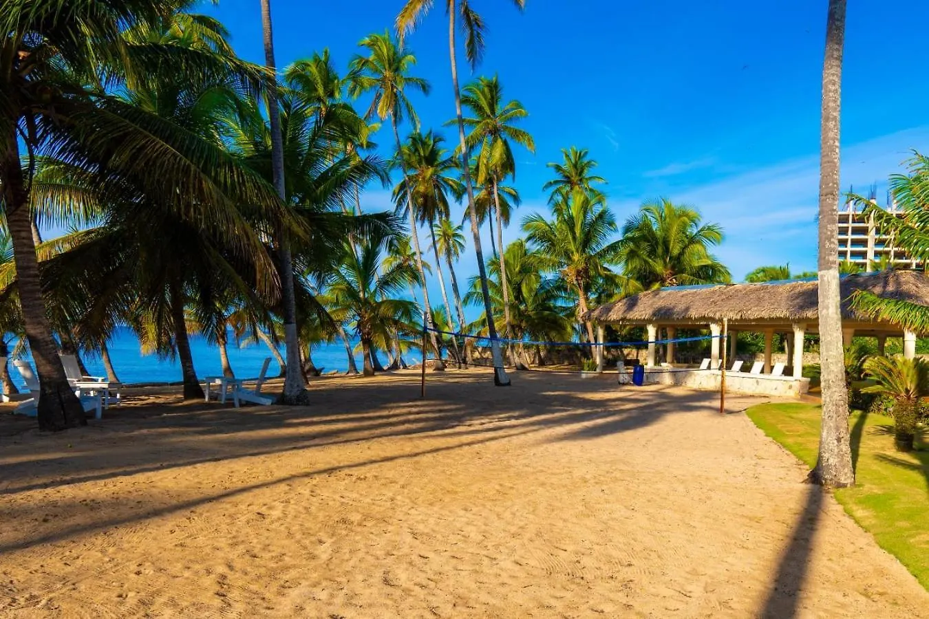 Lejlighedshotel Oceanparadise To You Albatro L Y Ll Juan Dolio Den Dominikanske Republik