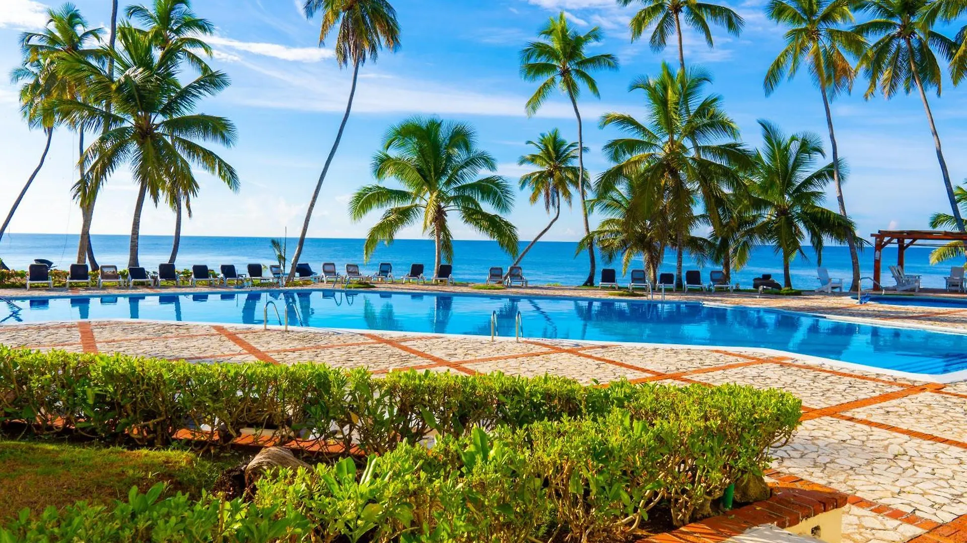 Oceanparadise To You Albatro L Y Ll Juan Dolio Apartahotel