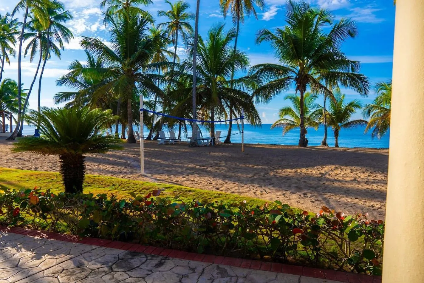 Apartahotel Oceanparadise To You Albatro L Y Ll Juan Dolio República Dominicana