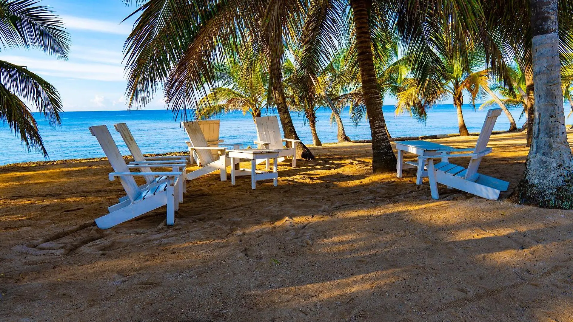 Apartahotel Oceanparadise To You Albatro L Y Ll Juan Dolio