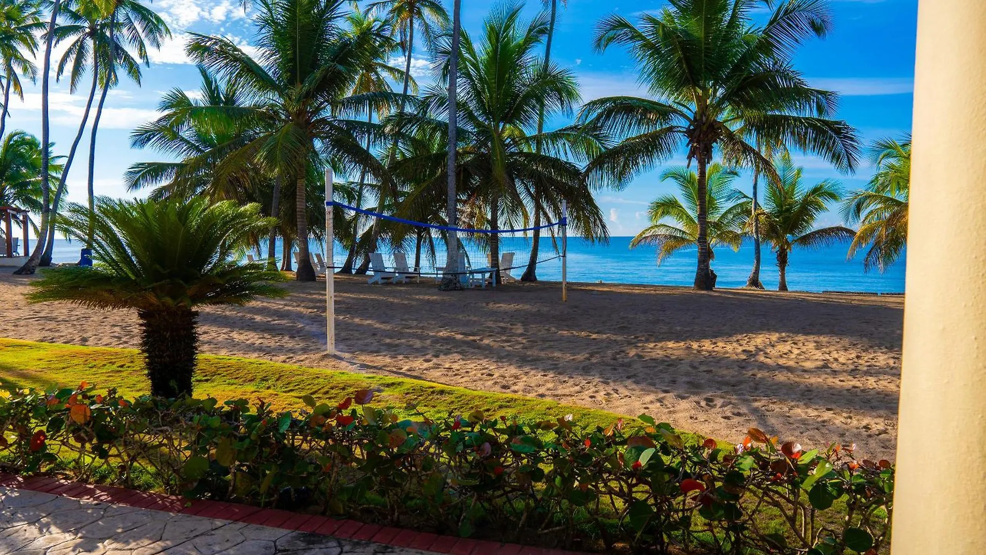 Apartahotel Oceanparadise To You Albatro L Y Ll Juan Dolio