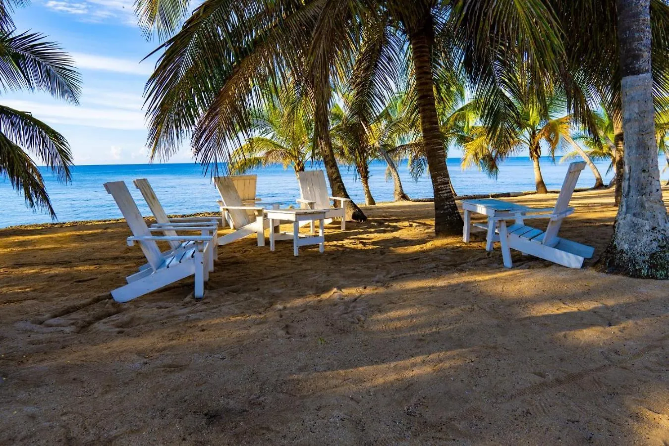 شقة فندقية خوان دوليو Oceanparadise To You Albatro L Y Ll جمهورية الدومينيكان